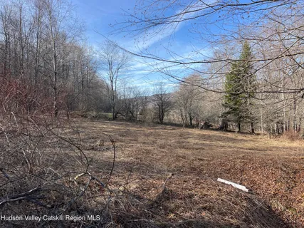 $99,000 | 1361 Weaver Hollow Road, Andes, NY 12455