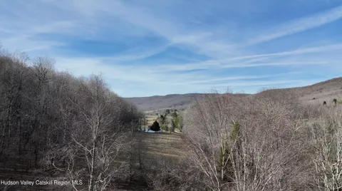 $99,000 | 1361 Weaver Hollow Road, Andes, NY 12455