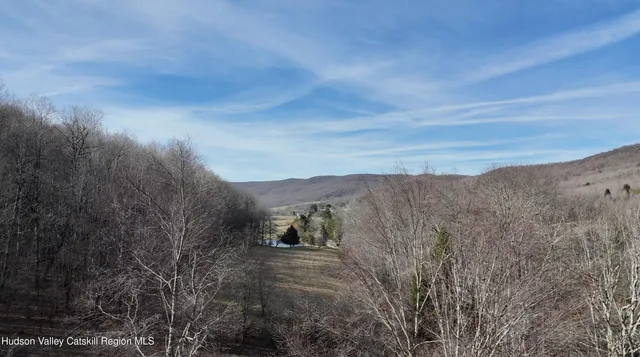 $99,000 | 1361 Weaver Hollow Road, Andes, NY 12455