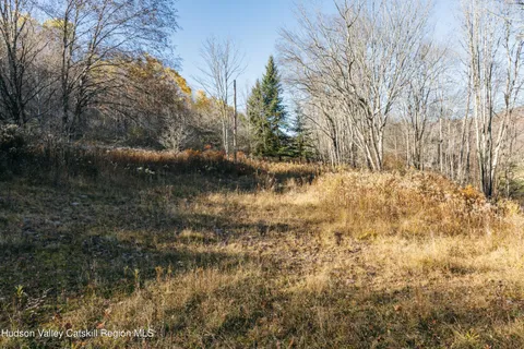 $99,000 | 1361 Weaver Hollow Road, Andes, NY 12455