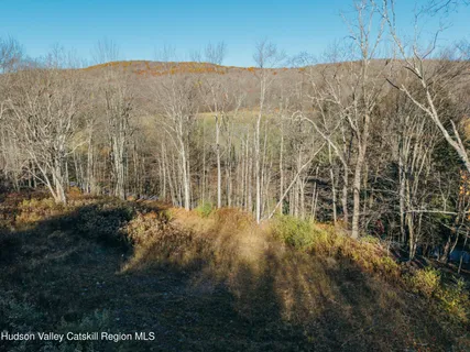 $99,000 | 1361 Weaver Hollow Road, Andes, NY 12455