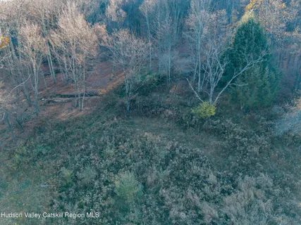 $99,000 | 1361 Weaver Hollow Road, Andes, NY 12455