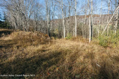 $99,000 | 1361 Weaver Hollow Road, Andes, NY 12455