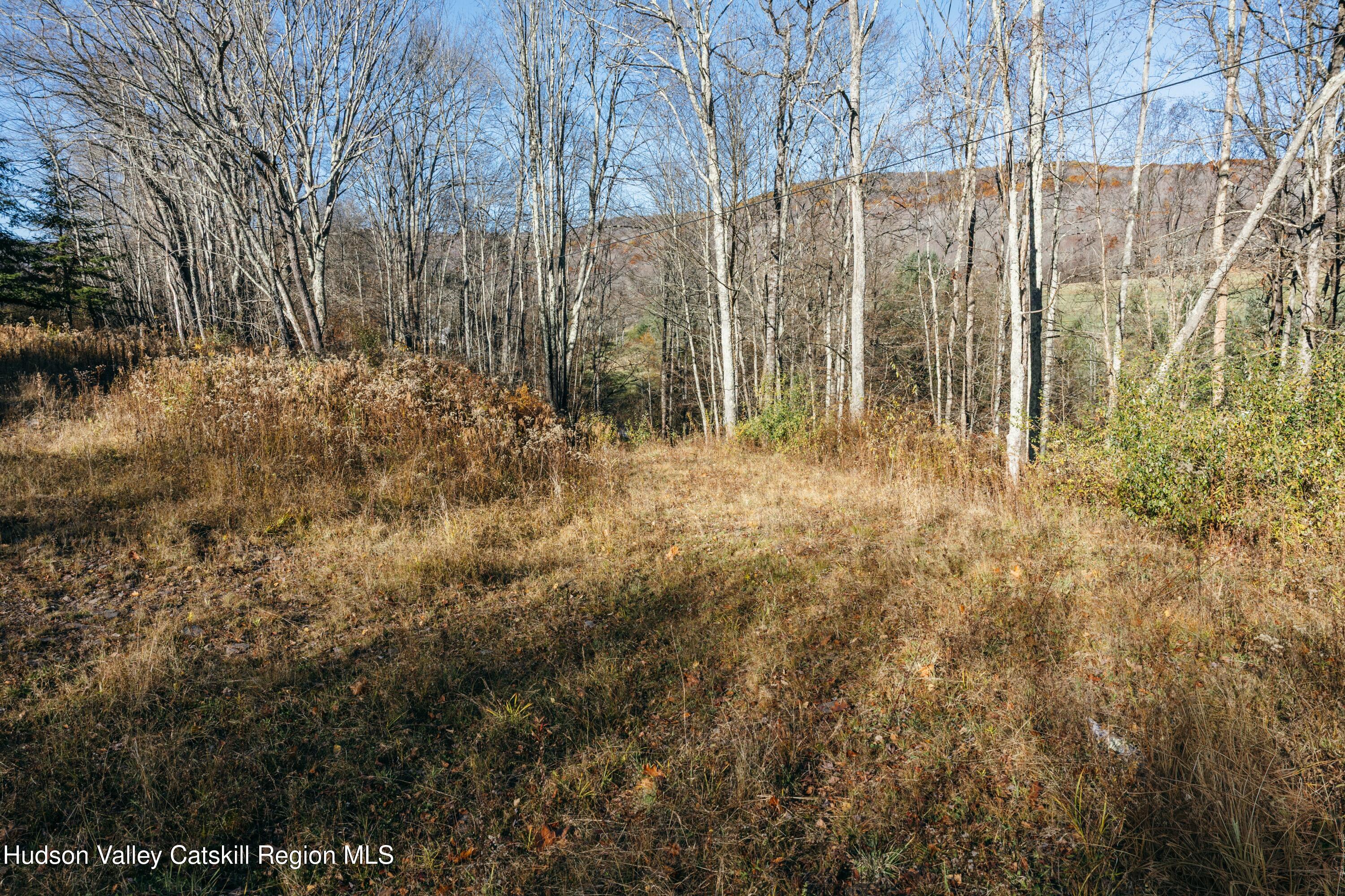1361 Weaver Hollow Road Andes, NY 12455 - Photo 7 of 23 a view of outdoor space with green space