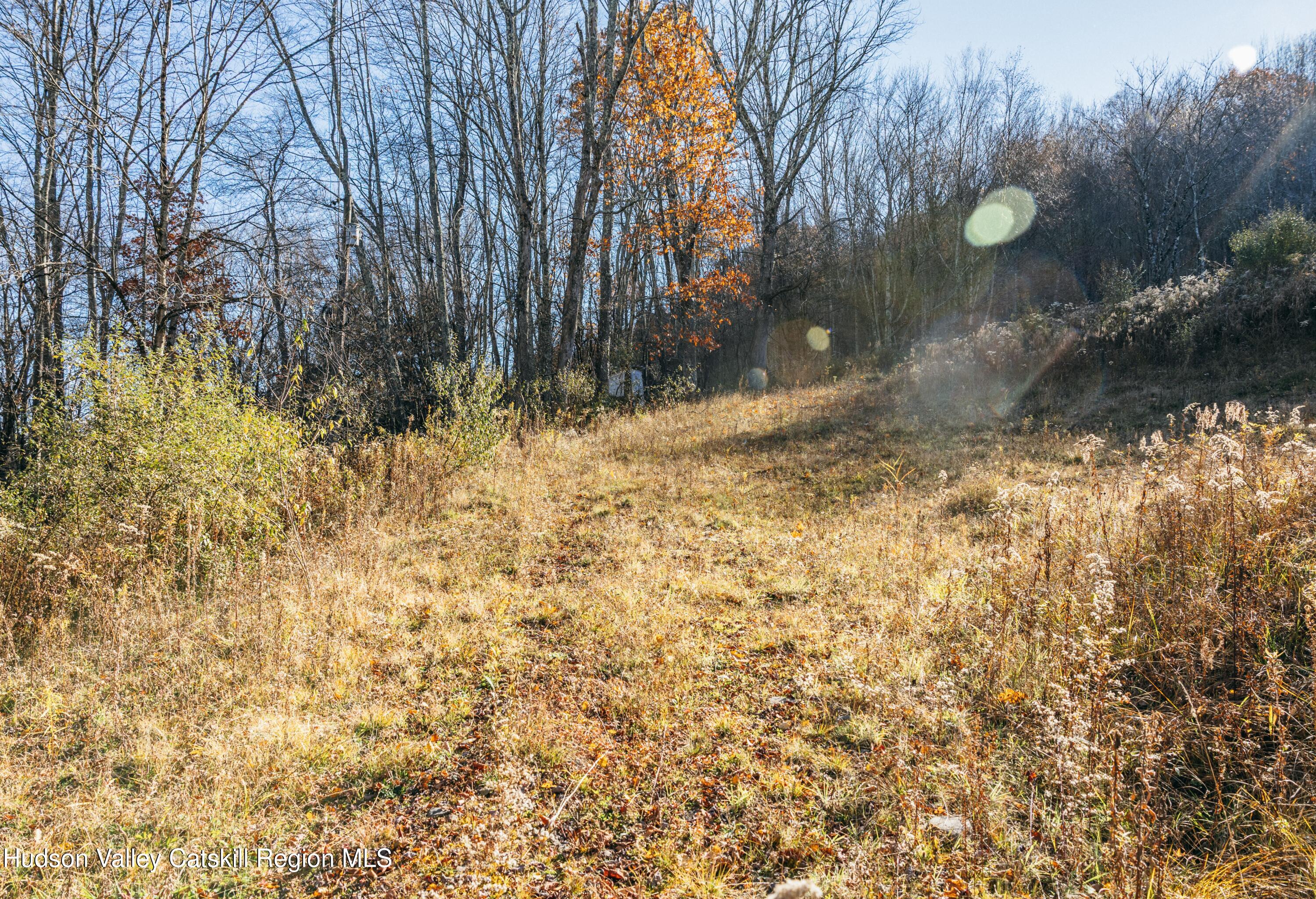 1361 Weaver Hollow Road Andes, NY 12455 - Photo 9 of 23 a view of outdoor space and yard