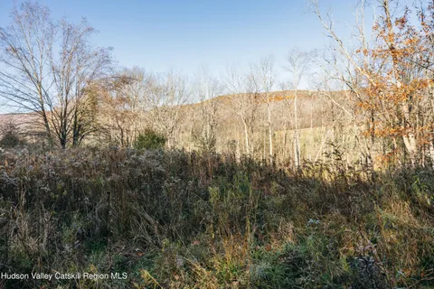 $99,000 | 1361 Weaver Hollow Road, Andes, NY 12455