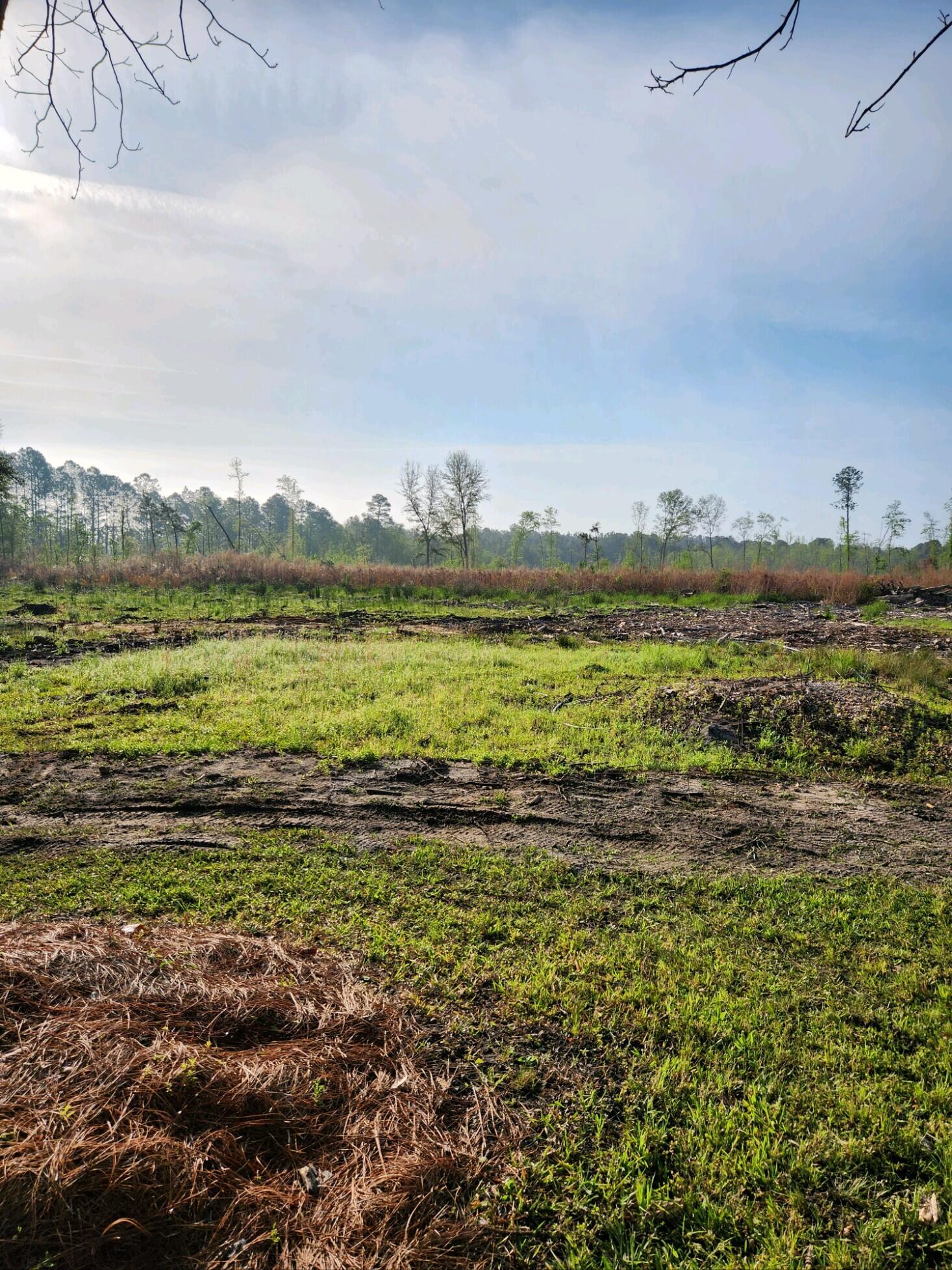 578 Wesley Grove Road Cottageville, SC 29435 - Photo 23 of 29 F4737A71-34A8-495D-BE23-CA738682239E