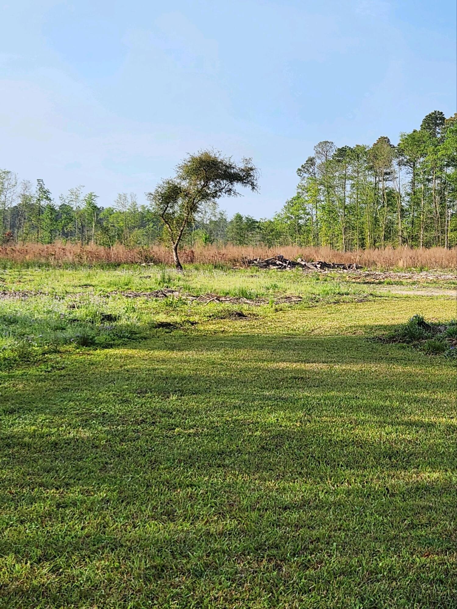 578 Wesley Grove Road Cottageville, SC 29435 - Photo 28 of 29 A08BB1CF-E93D-4E86-B32E-AC5A1FCD1F61