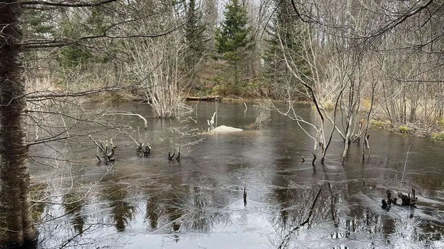 $399,000 | 94 Green Valley Road, Stockton Springs, ME 04981