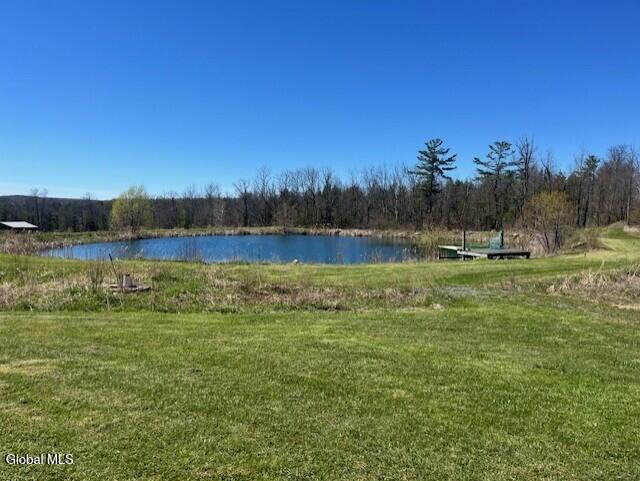 465 Snyder Road Cobleskill, NY 12043 - Photo 8 of 19 a