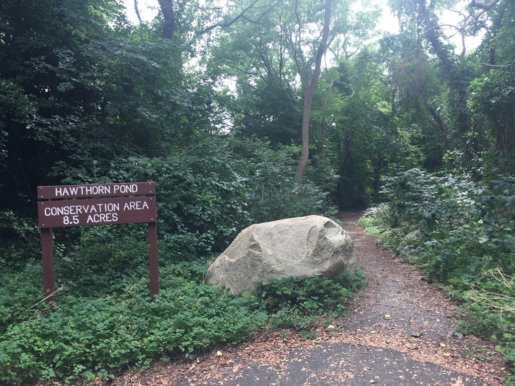 24 Hawthorn Road Marblehead, MA 01945 - Photo 9 of 30 a sign that is sitting in a forest