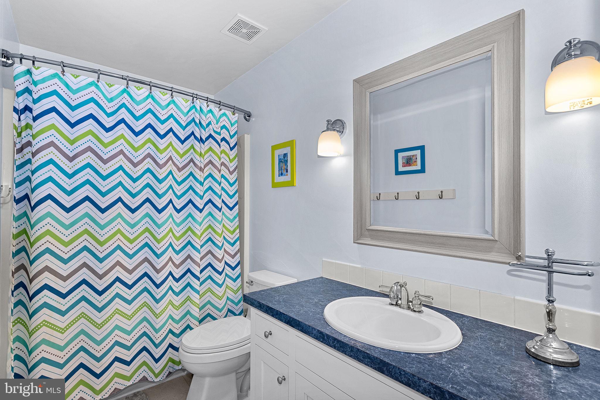 43464 Evans Pond Road Leesburg, VA 20176 - Photo 45 of 83 Hall Bath