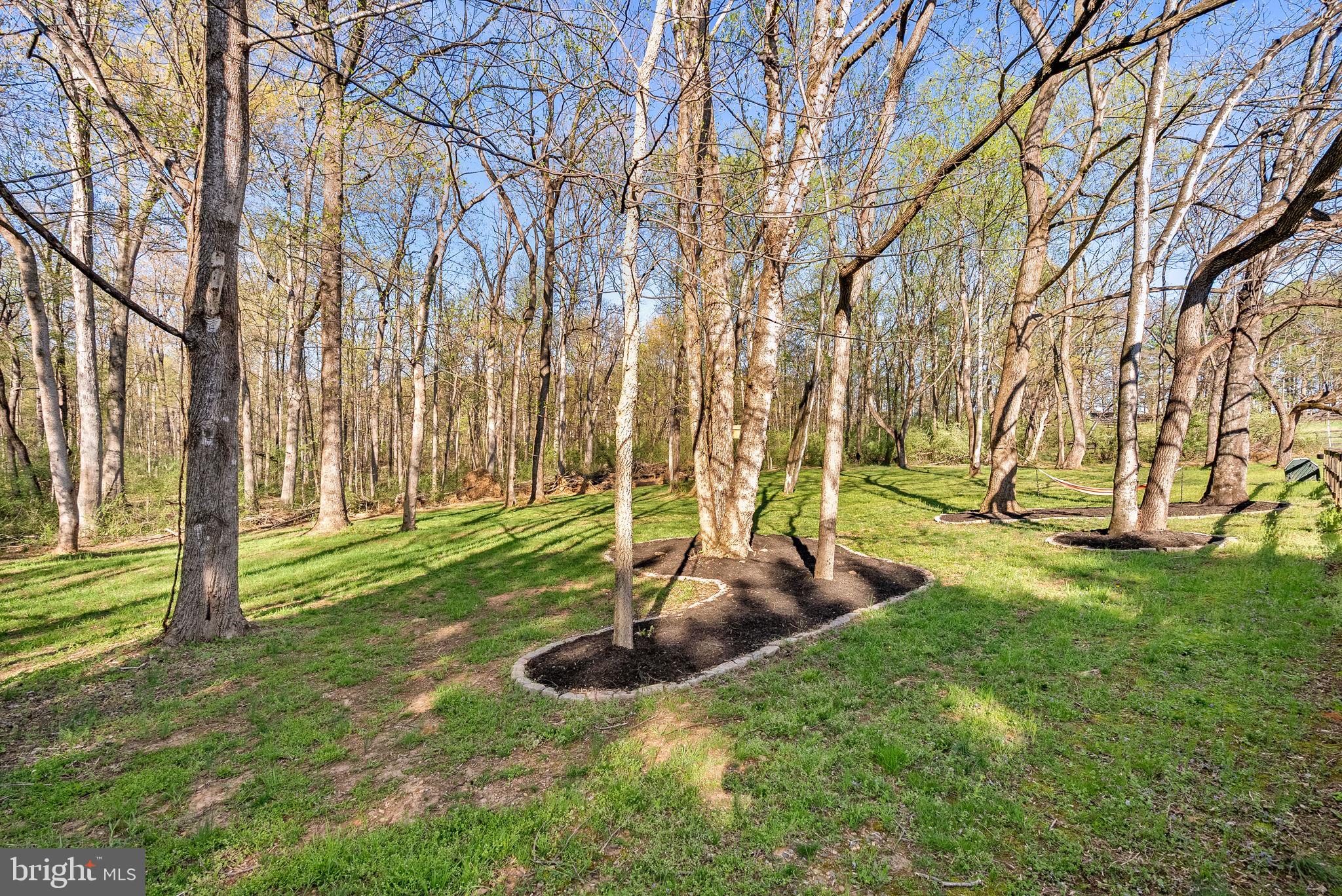 43464 Evans Pond Road Leesburg, VA 20176 - Photo 75 of 83
