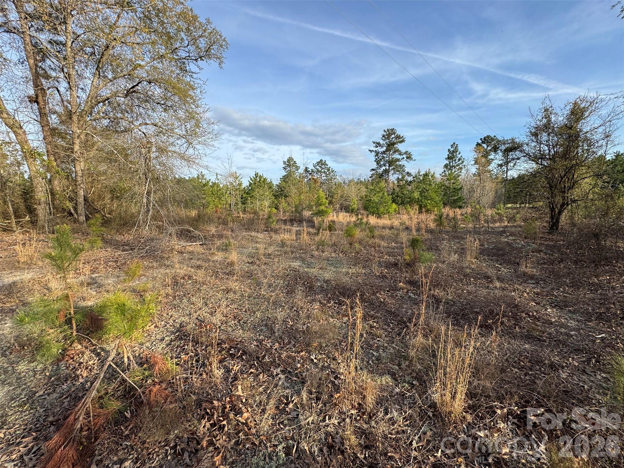 0 McQueen Road Patrick, SC 29584 - Photo 17 of 25