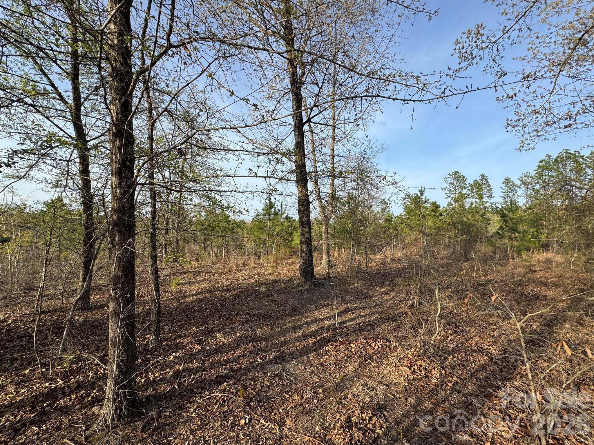 0 McQueen Road Patrick, SC 29584 - Photo 18 of 25