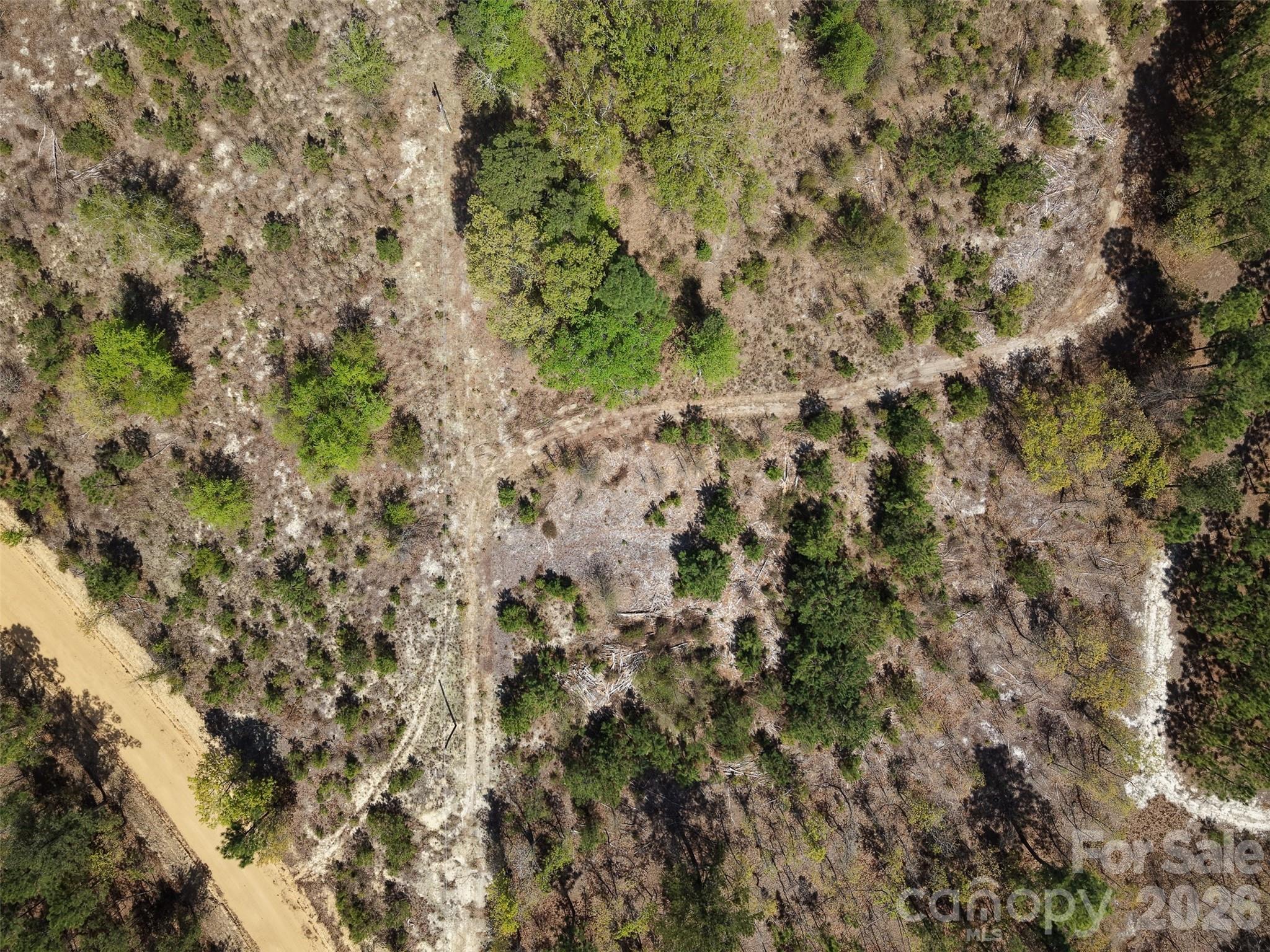 0 McQueen Road Patrick, SC 29584 - Photo 2 of 25