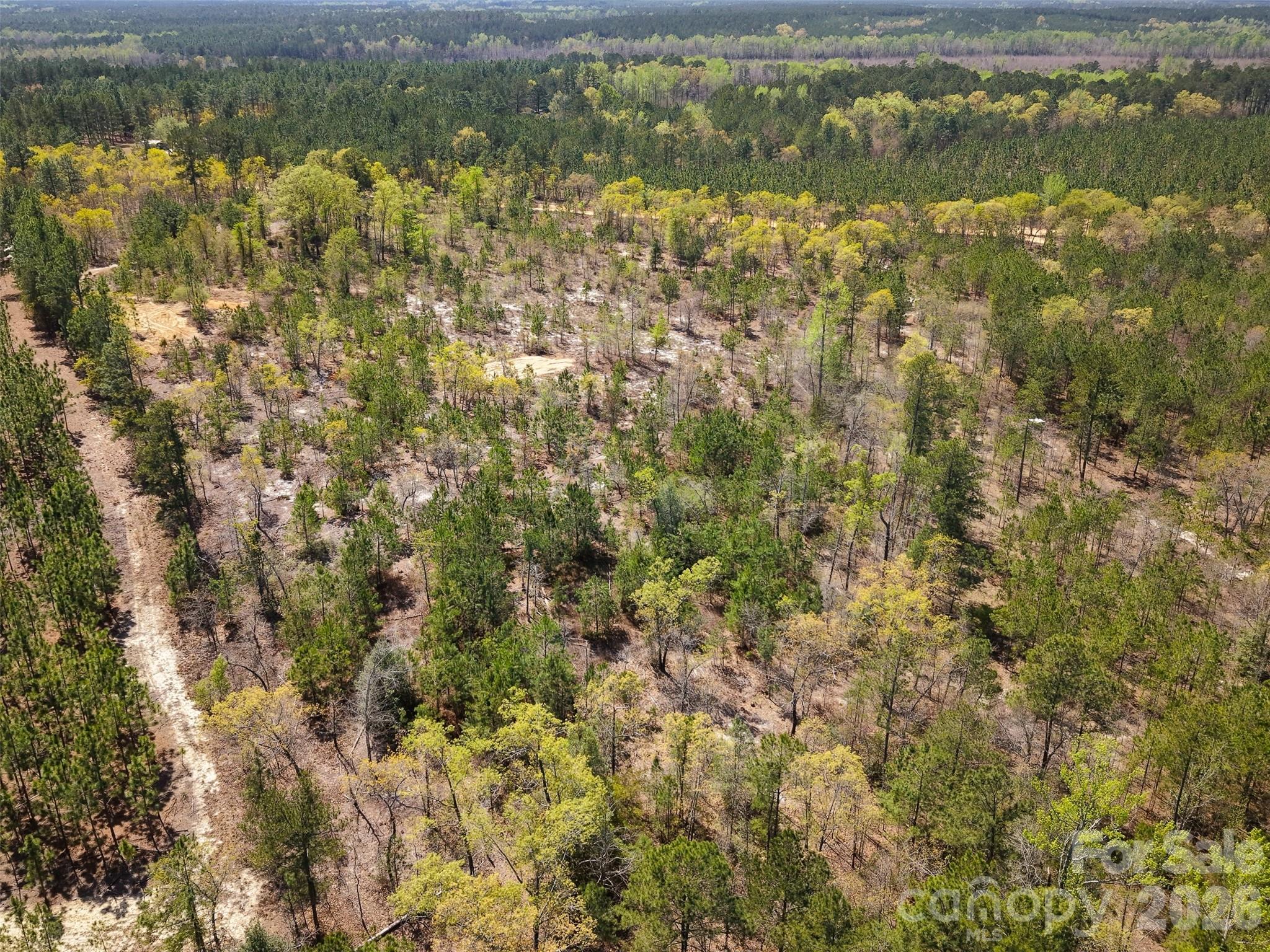 0 McQueen Road Patrick, SC 29584 - Photo 8 of 25