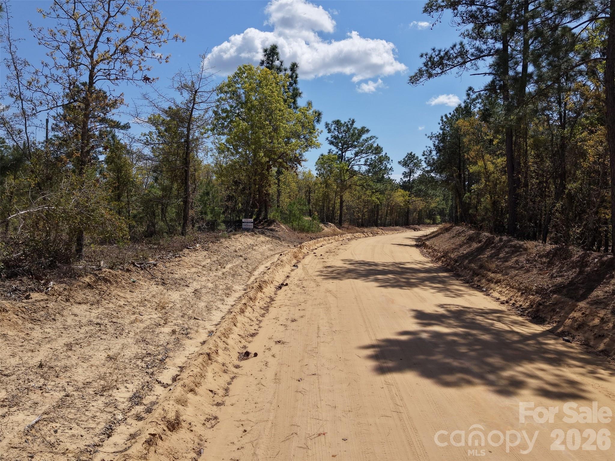 0 McQueen Road Patrick, SC 29584 - Photo 9 of 25