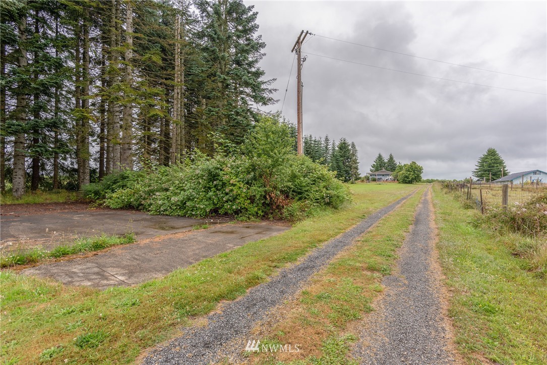 431 Burnt Ridge Road Onalaska, WA 98570 - Photo 3 of 25 Gallery Image 3