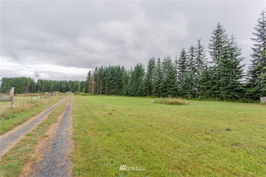 431 Burnt Ridge Road Onalaska, WA 98570 - Photo 4 of 25 Gallery Image 4