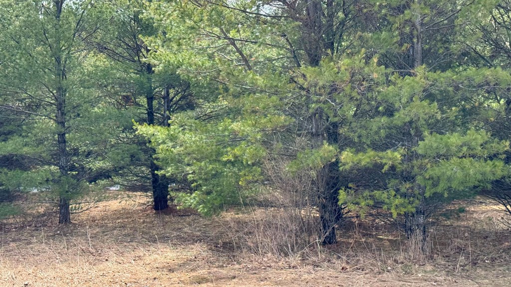 Lot 3 Birch Road Baileys Harbor, WI 54202 - Photo 7 of 7 Gallery Image 7