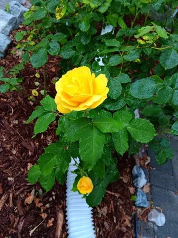 a view of a porch with a bench in backyard