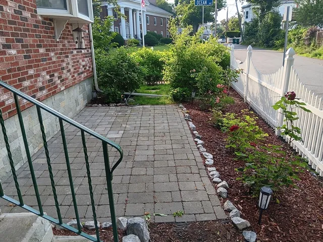 a view of a garden with plants
