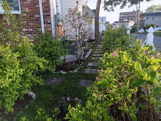 a couple of chairs sitting in backyard of house