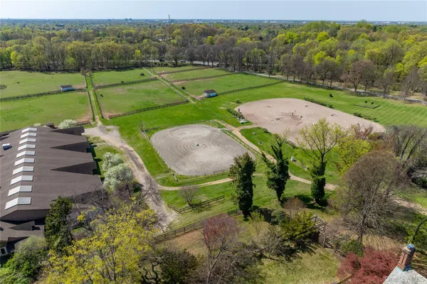 a view of a park with large trees
