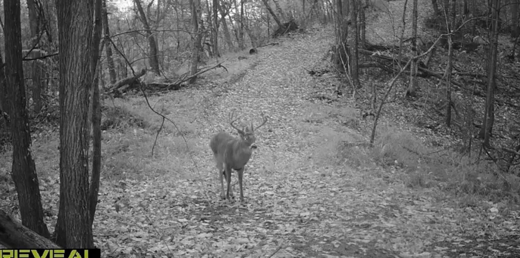 0 Hinkley Hollow Road Portsmouth, OH 45662 - Photo 47 of 48 Copy of 47