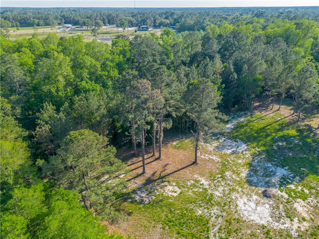 264 Williams Loop Waycross, GA 31503 - Photo 29 of 33