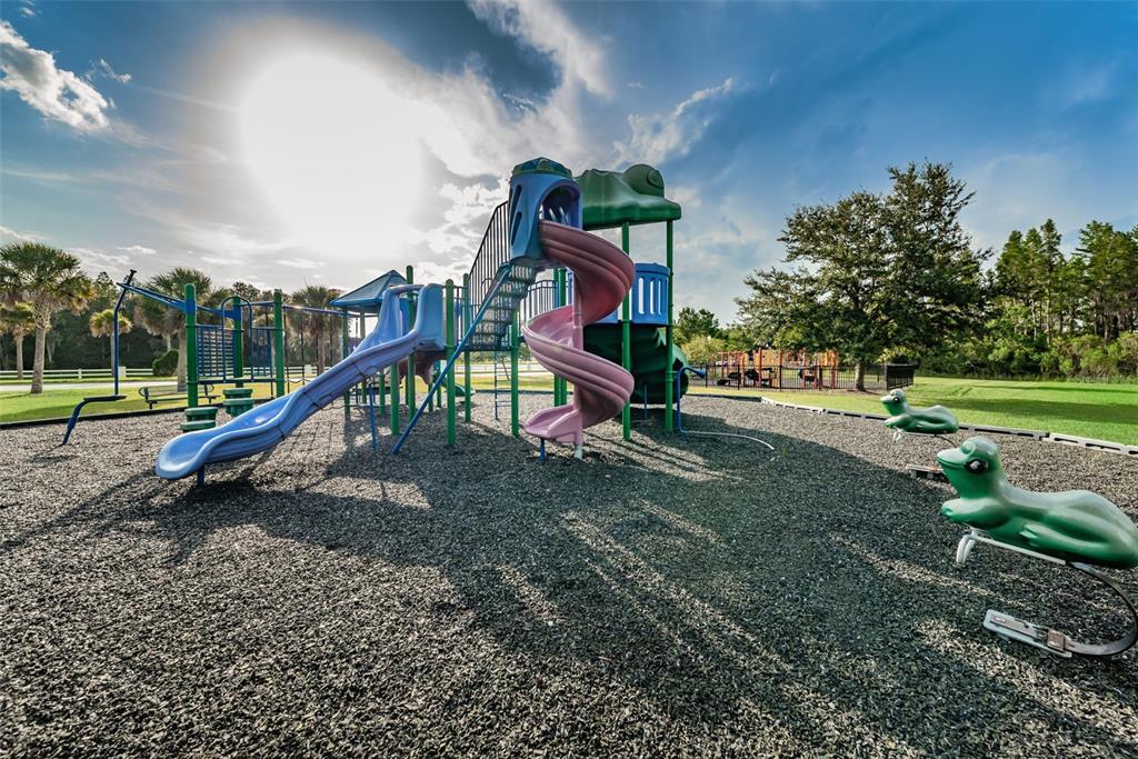 1345 Halapa Way Trinity, FL 34655 - Photo 86 of 93