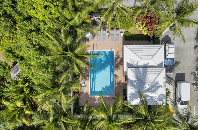 a plant that is sitting in a garden