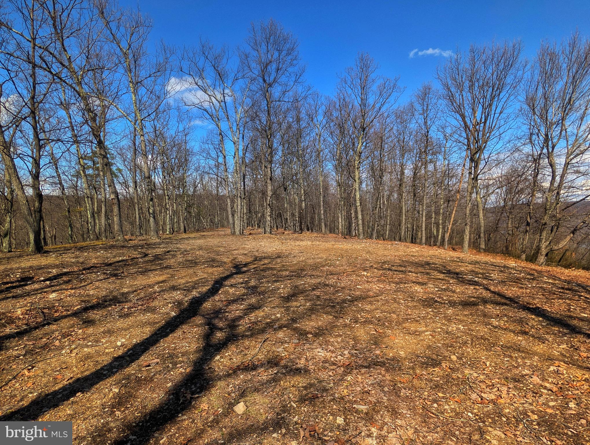 0 Pine Ridge Road James Creek, PA 16657 - Photo 15 of 23
