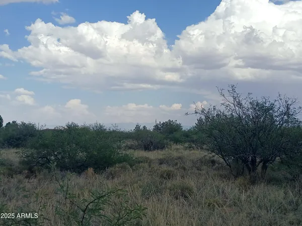 a view of a yard with sitting space