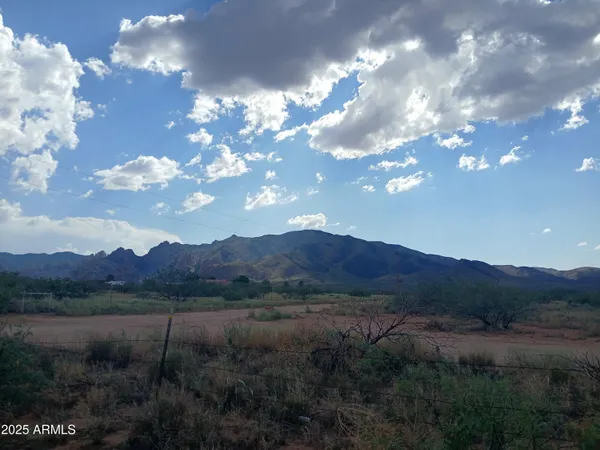 a view of a forest in a forest