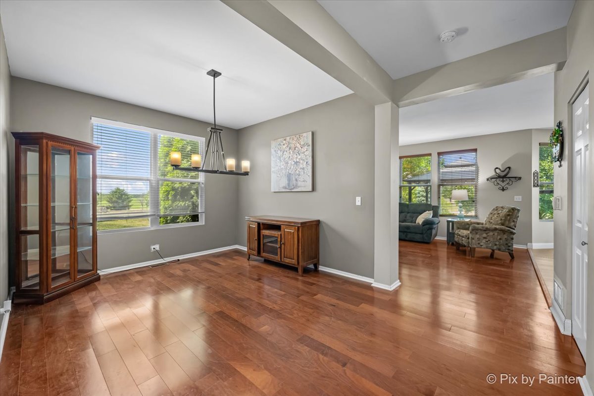 909 Avalon Way Minooka, IL 60447 - Photo 6 of 44
