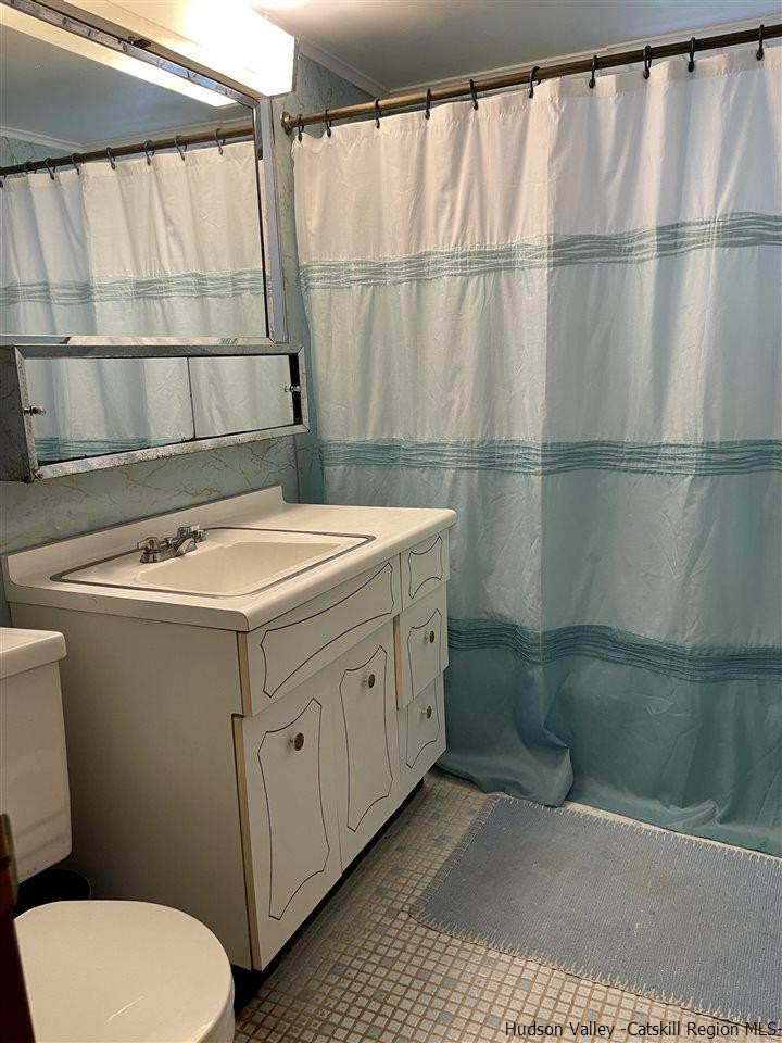 6277 County Rt 36 Denver, NY 12421 - Photo 23 of 27 a bathroom with a sink a toilet and shower