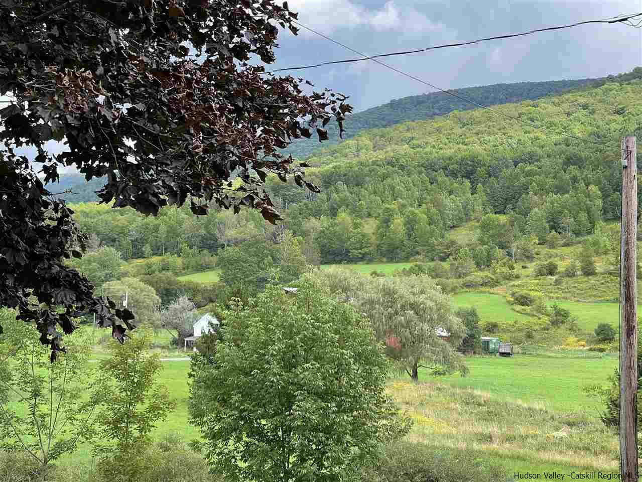 6277 County Rt 36 Denver, NY 12421 - Photo 3 of 27