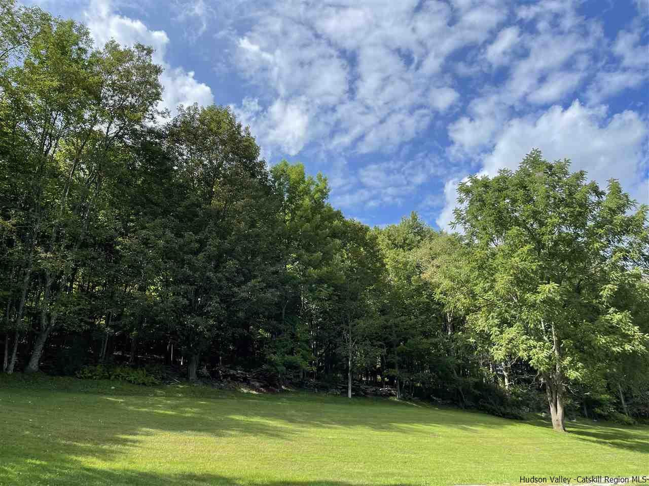 6277 County Rt 36 Denver, NY 12421 - Photo 4 of 27