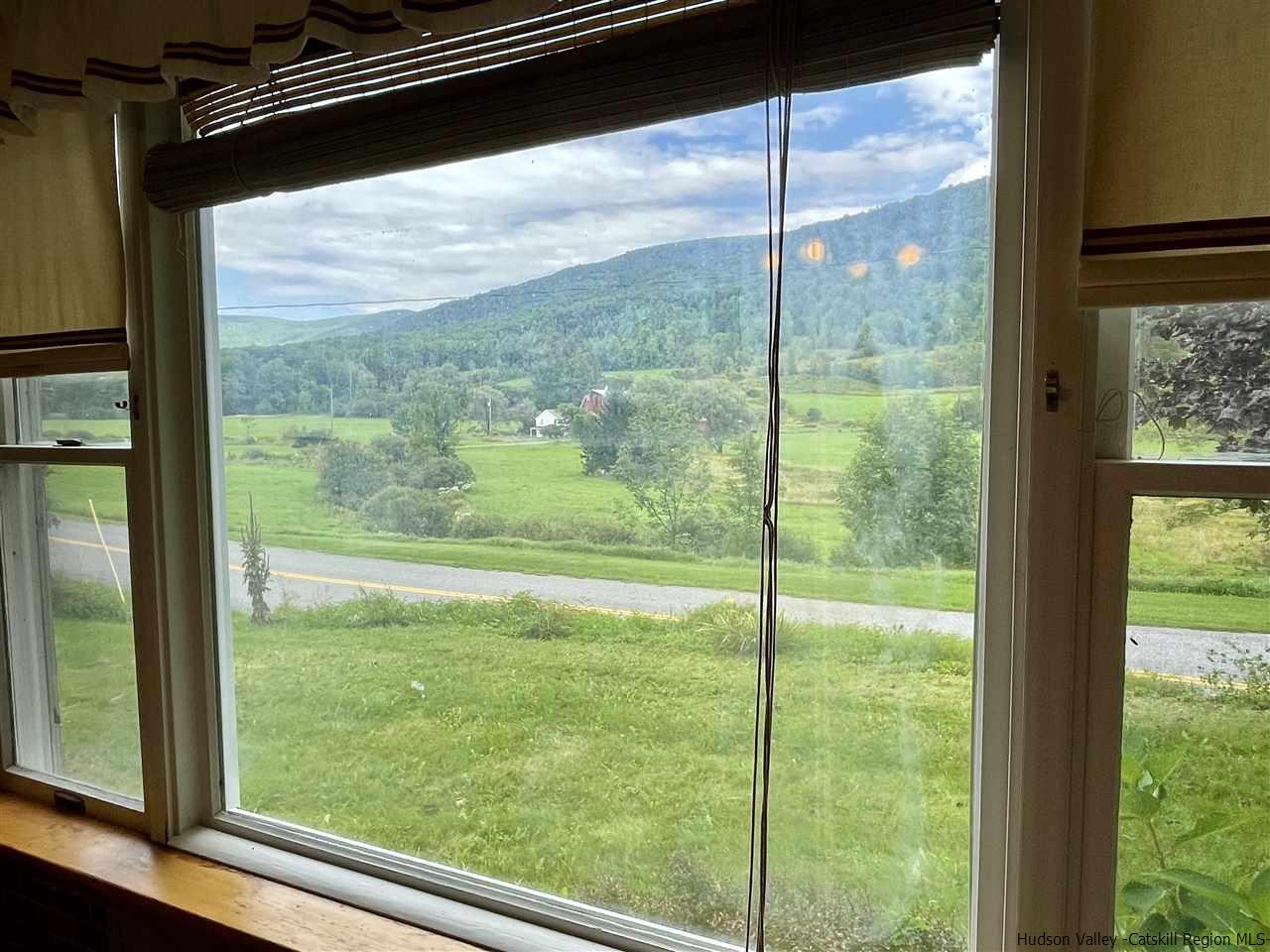 6277 County Rt 36 Denver, NY 12421 - Photo 10 of 27 a view of lot of window