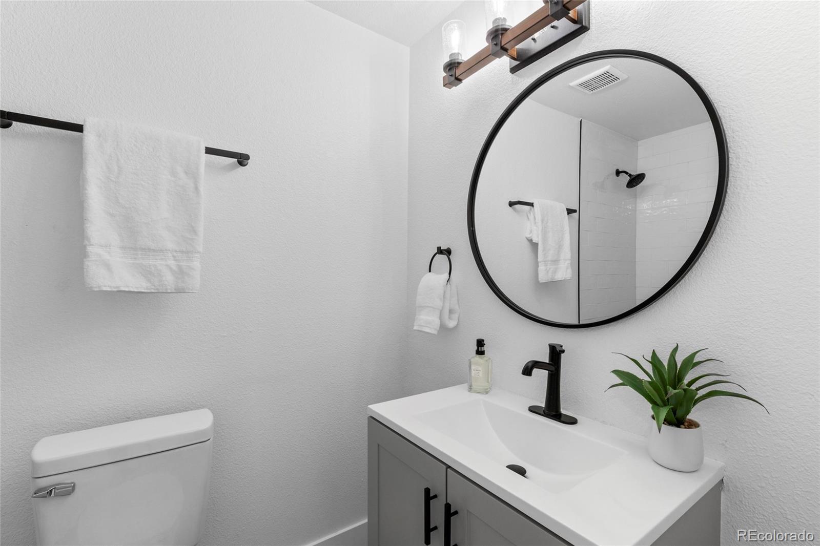 700 Busch Street Longmont, CO 80501 - Photo 15 of 27 a bathroom with a sink and mirror