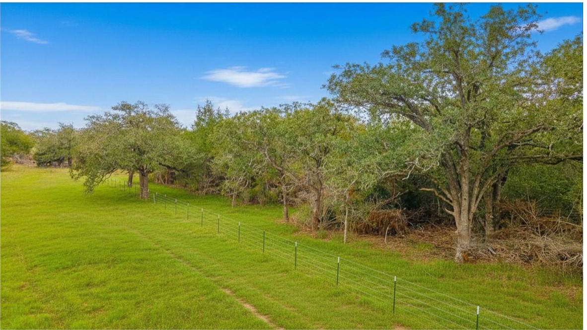 0 Armstrong Derry Road Waelder, TX 78959 - Photo 11 of 13