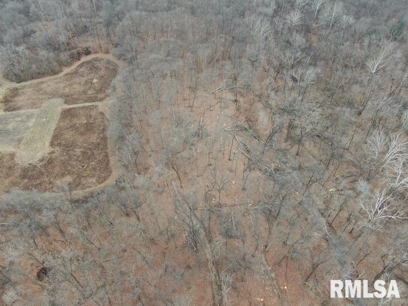 0 County Road Toledo, IL 62468 - Photo 13 of 66