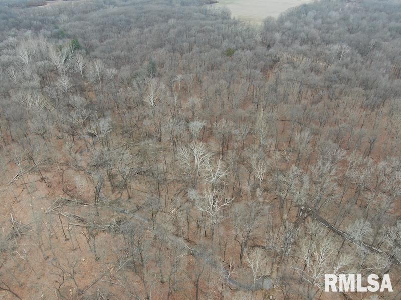 0 County Road Toledo, IL 62468 - Photo 14 of 66