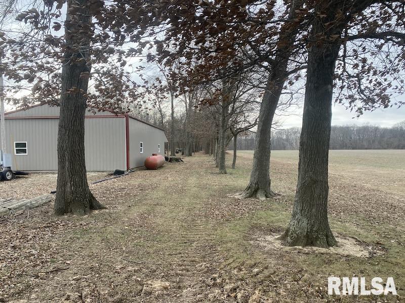 0 County Road Toledo, IL 62468 - Photo 16 of 66