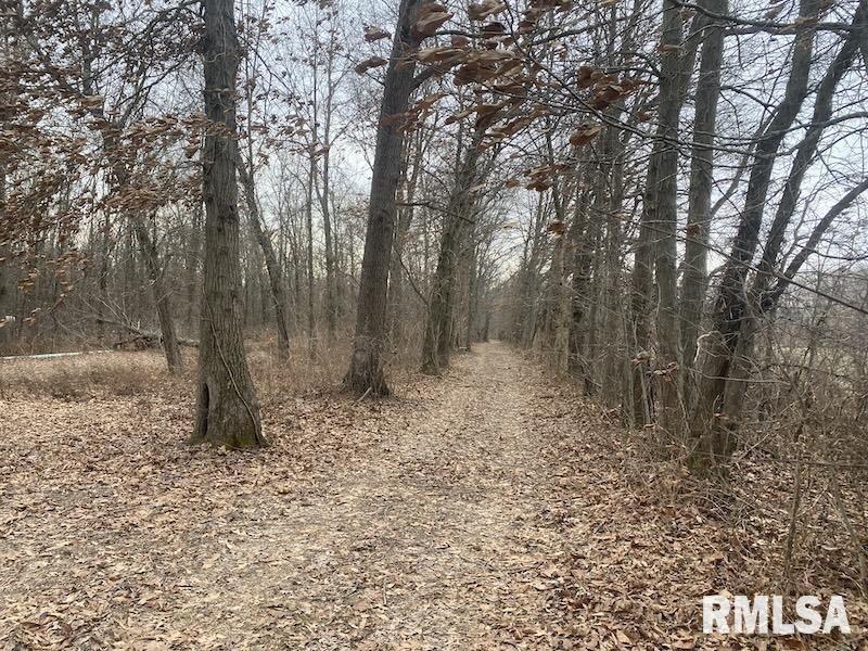 0 County Road Toledo, IL 62468 - Photo 17 of 66