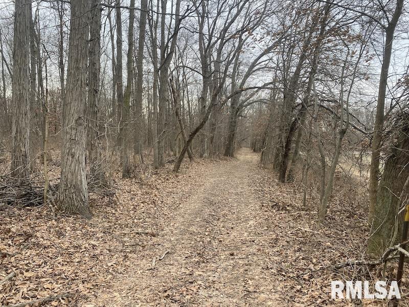 0 County Road Toledo, IL 62468 - Photo 18 of 66