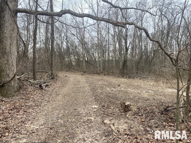 0 County Road Toledo, IL 62468 - Photo 19 of 66