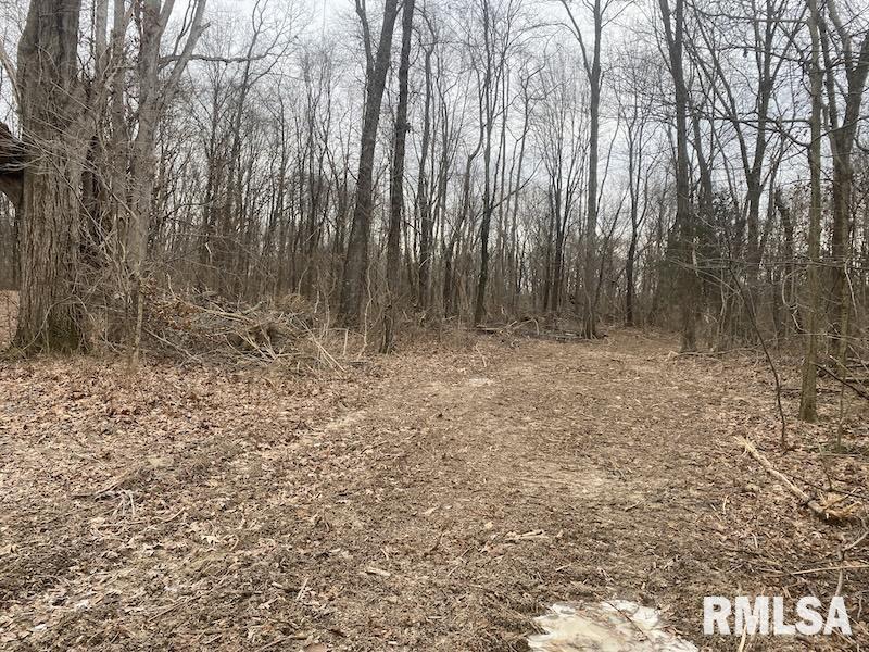 0 County Road Toledo, IL 62468 - Photo 20 of 66